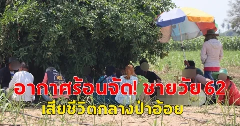 อากาศร้อนจัด! ชายวัย 62 ไปรับจ้างตัดอ้อย เป็นลมหน้ามืด เสียชีวิตกลางป่าอ้อย