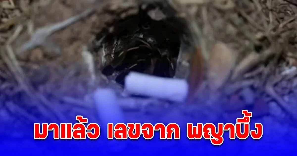 ขนลุก พญาบึ้ง ให้โชค 2 ตัวเน้นๆ