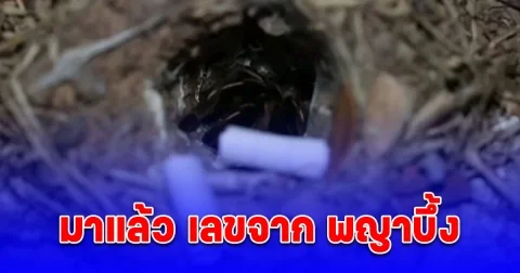 ขนลุก พญาบึ้ง ให้โชค 2 ตัวเน้นๆ