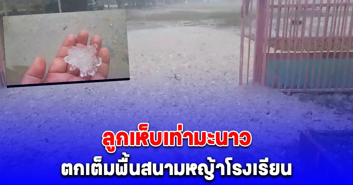 พายุฤดูร้อนถล่ม ทำฝนตกหนัก ลูกเห็บเท่ามะนาว ตกเต็มพื้นสนามหญ้าโรงเรียน