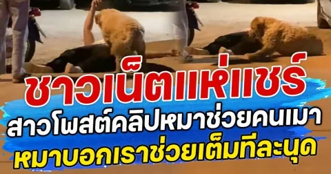 ชาวเน็ตแห่แชร์ สาวโพสต์คลิปหมาช่วยคนเมา หมาบอกเราช่วยเต็มทีละนุด