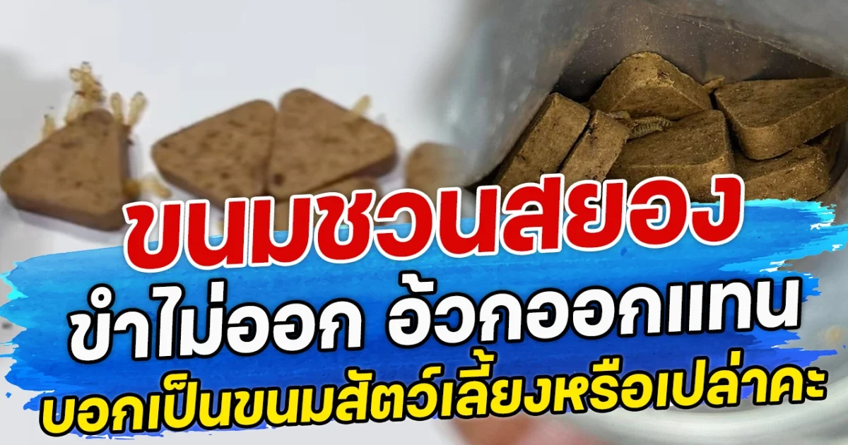 ขนมชวนสยอง ขำไม่ออก อ้วกออกแทน จนชาวเน็ตบอกเป็นขนมสัตว์เลี้ยงหรือเปล่าคะ