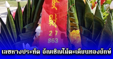 เลขหางประทัด อัญเชิญไม้ตะเคียนทองยักษ์ ไปสร้างประตูหน้าต่างโบสถ์วัดเขาพระทอง