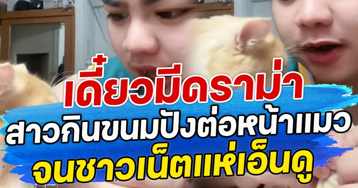 เดียวมีดราม่า สาวกินขนมปังต่อหน้าแมว จนชาวเน็ตแห่เอ็นดู
