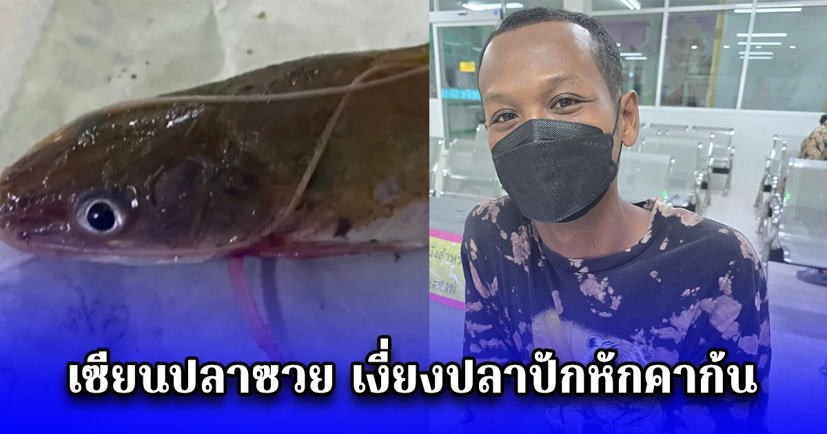 เซียนปลาซวย เงี่ยงปลาปักหักคาก้น หามส่ง รพ
