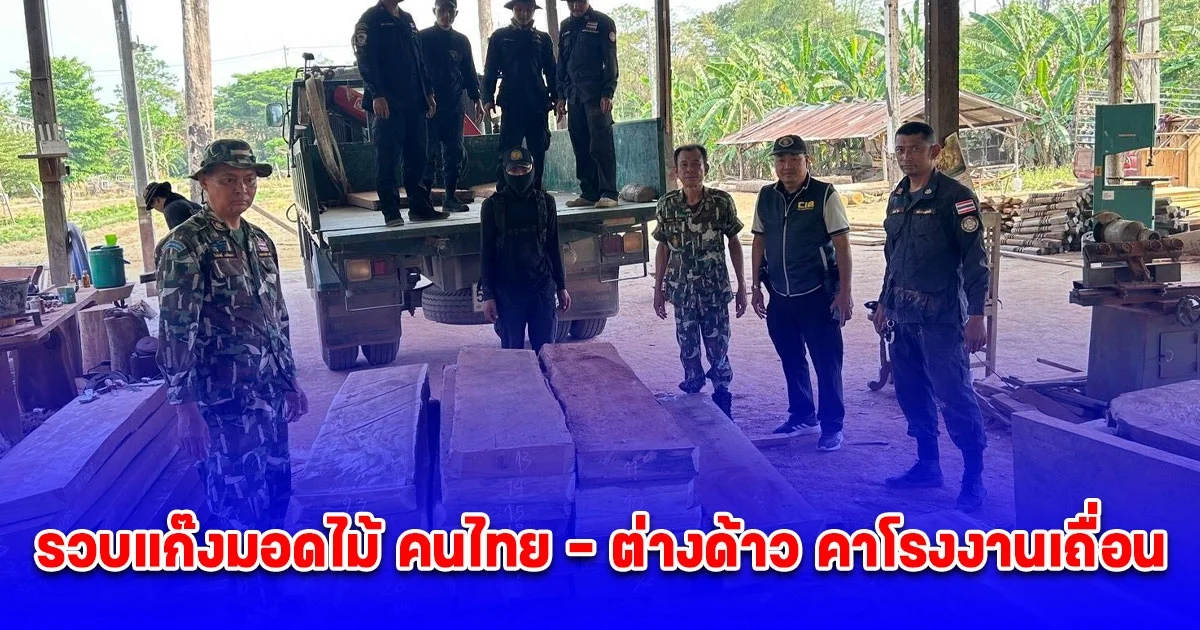 กก.4 บก.ปทส. รวบแก๊งมอดไม้ คนไทย - ต่างด้าว คาโรงงานเถื่อน อ.แม่สอด หลังสืบสาวจากสำแดงเท็จแอบลอบขนไม้สัก ไม้ประดู่มุ่งหน้าส่งภาคตะวันออก ท้าทายกฎหมาย