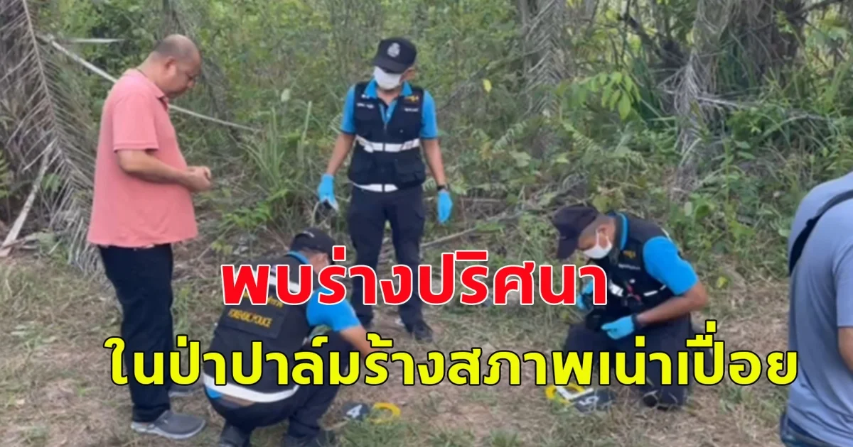 พบร่างปริศนาเกาะกลางถนนในพื้นที่ อ.อ่าวลึก