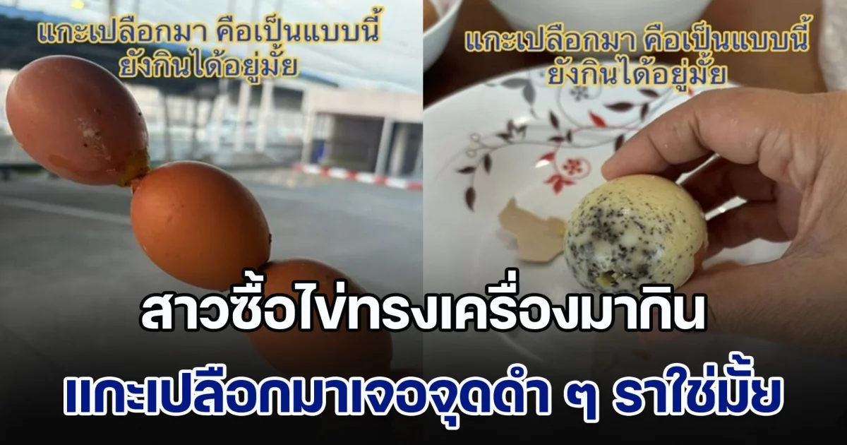 สาวซื้อไข่ทรงเครื่องมากิน แกะเปลือกมาเจอจุดดำ ๆ สงสัยมันคือราหรือไม่ เจอคำตอบชาวเน็ตช็อตฟีลหนักมาก