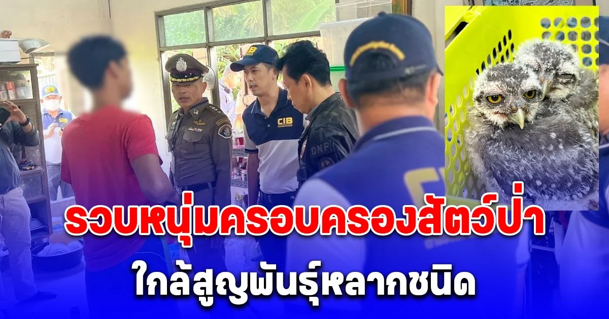 บุกค้นบ้านพักย่านหนองจอก รวบหนุ่มครอบครองสัตว์ป่าใกล้สูญพันธุ์หลากชนิด