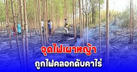 ตาวัย 70 จุดไฟเผาหญ้าในไร่ตัวเองถูกไฟคลอกเสียชีวิต