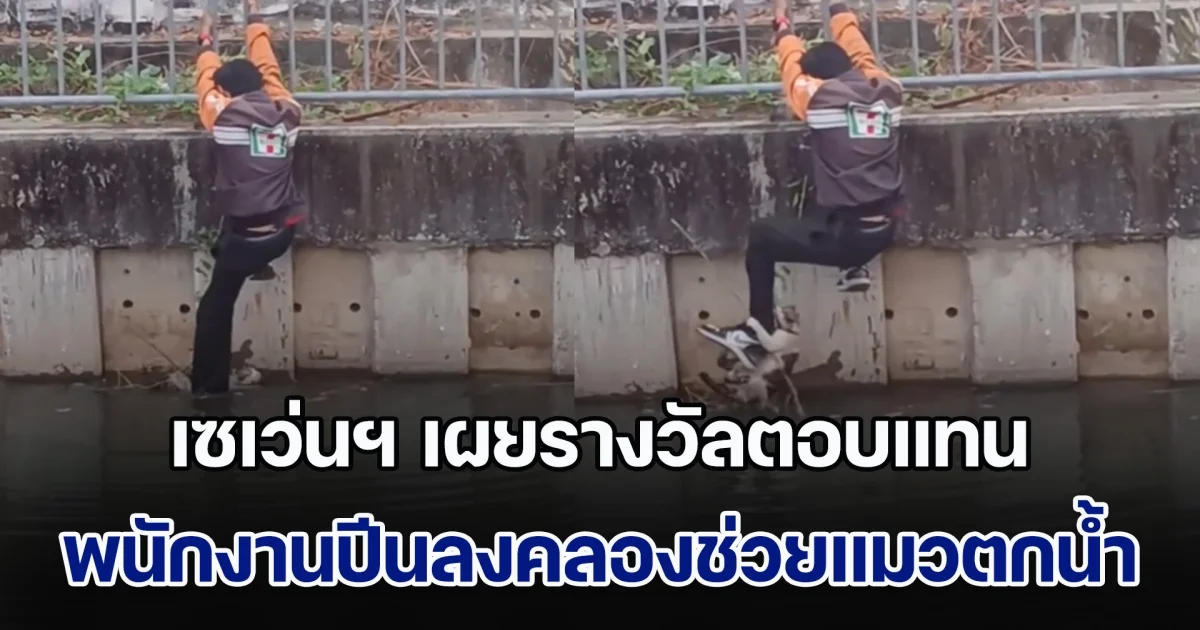 ชื่นชม! เซเว่นฯ เผยรางวัลตอบแทน พนักงานปีนลงคลองช่วยชีวิตแมวตกน้ำ