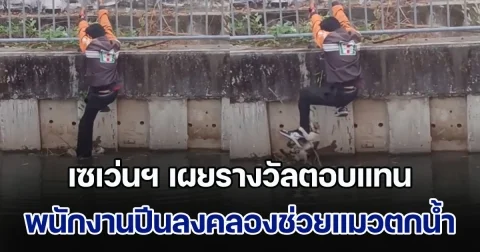 ชื่นชม! เซเว่นฯ เผยรางวัลตอบแทน พนักงานปีนลงคลองช่วยชีวิตแมวตกน้ำ