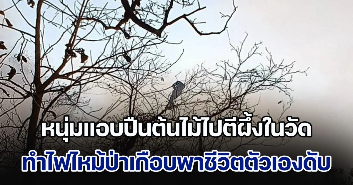 หนุ่มแอบปืนต้นไม้ไปตีผึ้งในวัด ทำไฟไหม้ป่าเกือบพาชีวิตตัวเองดับ