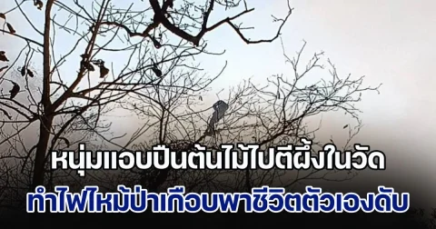 หนุ่มแอบปืนต้นไม้ไปตีผึ้งในวัด ทำไฟไหม้ป่าเกือบพาชีวิตตัวเองดับ