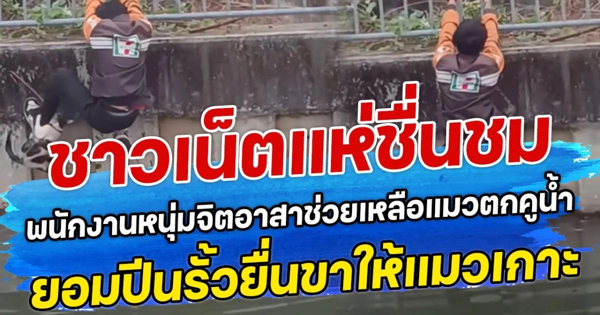 ชาวเน็ตแห่ชื่นชม พนักงานหนุ่มจิตอาสาช่วยเหลือแมวตกคูน้ำ ยอมปีนรั้วยื่นขาให้แมวเกาะ