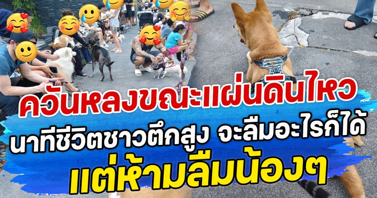 ควันหลงขณะเกิดเหตุการณ์แผ่นดินไหว นาทีชีวิตชาวตึกสูง จะลืมอะไรก็ได้ แต่ห้ามลืมน้องๆ