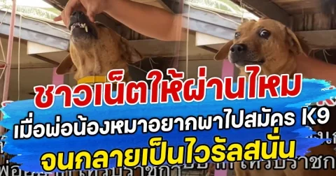 ชาวเน็ตให้ผ่านไหม เมื่อพ่อน้องหมาอยากพาไปสมัคร K9  จนกลายเป็นไวรัลสนั่น