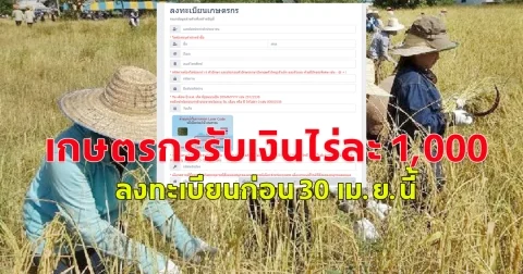เกษตรกรรับเงินไร่ละ 1,000 ย้ำ! ลงทะเบียนก่อน 30 เม.ย.นี้