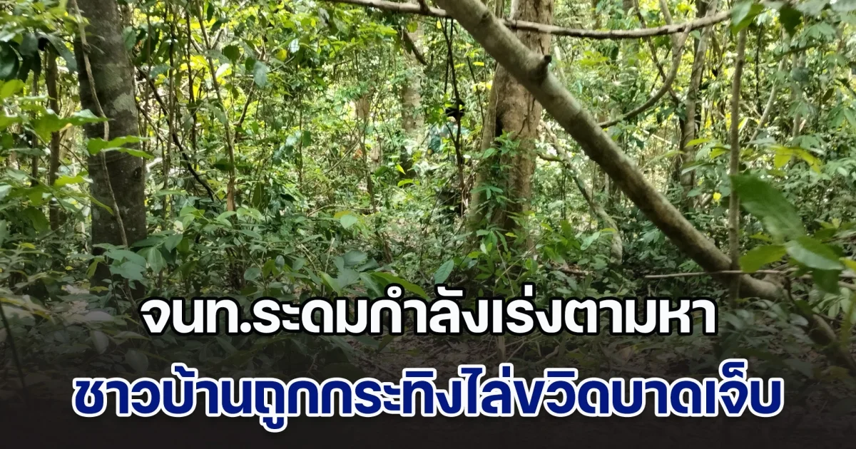 ด่วน! จนท.ระดมกำลังเร่งตามหา ชาวบ้านถูกกระทิงไล่ขวิด
