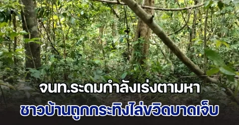 ด่วน! จนท.ระดมกำลังเร่งตามหา ชาวบ้านถูกกระทิงไล่ขวิด