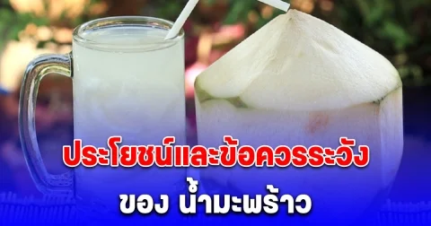 ประโยชน์และข้อควรระวัง ของ น้ำมะพร้าว