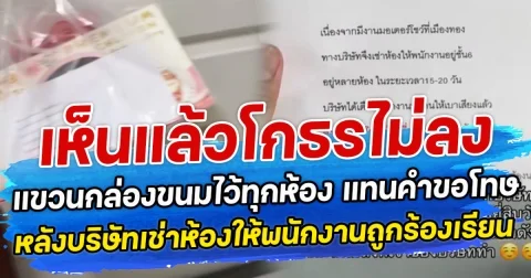 เห็นแล้วโกธรไม่ลง แขวนกล่องขนมไว้ทุกห้อง แทนคำขอโทษ หลังบริษัทเช่าห้องให้พนักงานถูกร้องเรียน