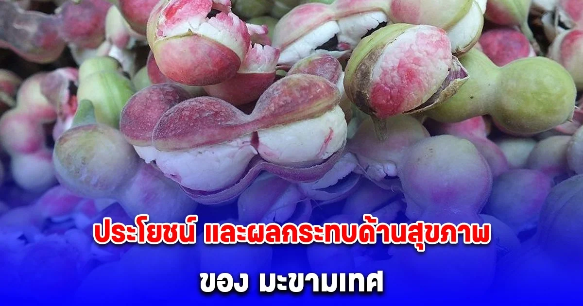 หลายคนยังไม่รู้ ประโยชน์ และผลกระทบด้านสุขภาพที่ต้องระมัดระวัง ของ มะขามเทศ