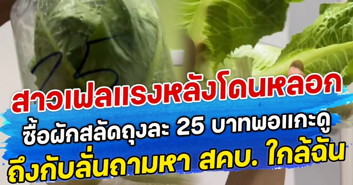 สาวเฟลแรงหลังโดนหลอก  ซื้อผักสลัดถุงละ 25 บาทพอแกะดู ถึงกับลั่นถามหา สคบ. ใกล้ฉัน
