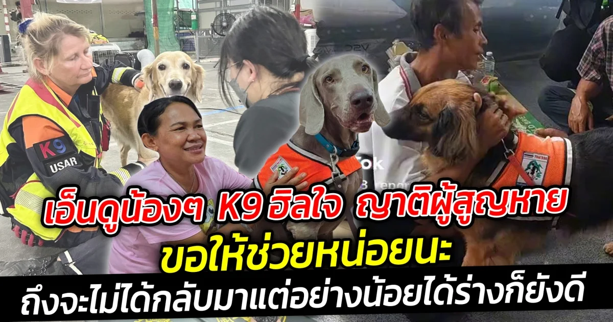 เอ็นดูน้องๆ  K9 ฮิลใจ ชาวบ้านขอให้ช่วยหน่อยนะ ถึงจะไม่ได้กลับมาแบบมีลมหายใจ แต่อย่างน้อยได้ร่างกลับไปที่บ้านก็ยังดี