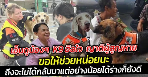 เอ็นดูน้องๆ  K9 ฮิลใจ ชาวบ้านขอให้ช่วยหน่อยนะ ถึงจะไม่ได้กลับมาแบบมีลมหายใจ แต่อย่างน้อยได้ร่างกลับไปที่บ้านก็ยังดี
