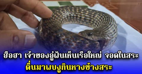 ฮือฮา เจ้าของอู่ฝันเห็นเรือใหญ่ จอดในสระ ตื่นมาพบงูกินหางข้างสระ
