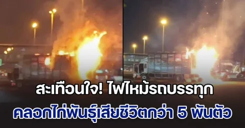 สะเทือนใจ! ไฟไหม้รถบรรทุก คลอกไก่พันธ์ุเสียชีวิตกว่า 5 พันตัว หนุ่มคนขับเล่านาทีสุดช็อก