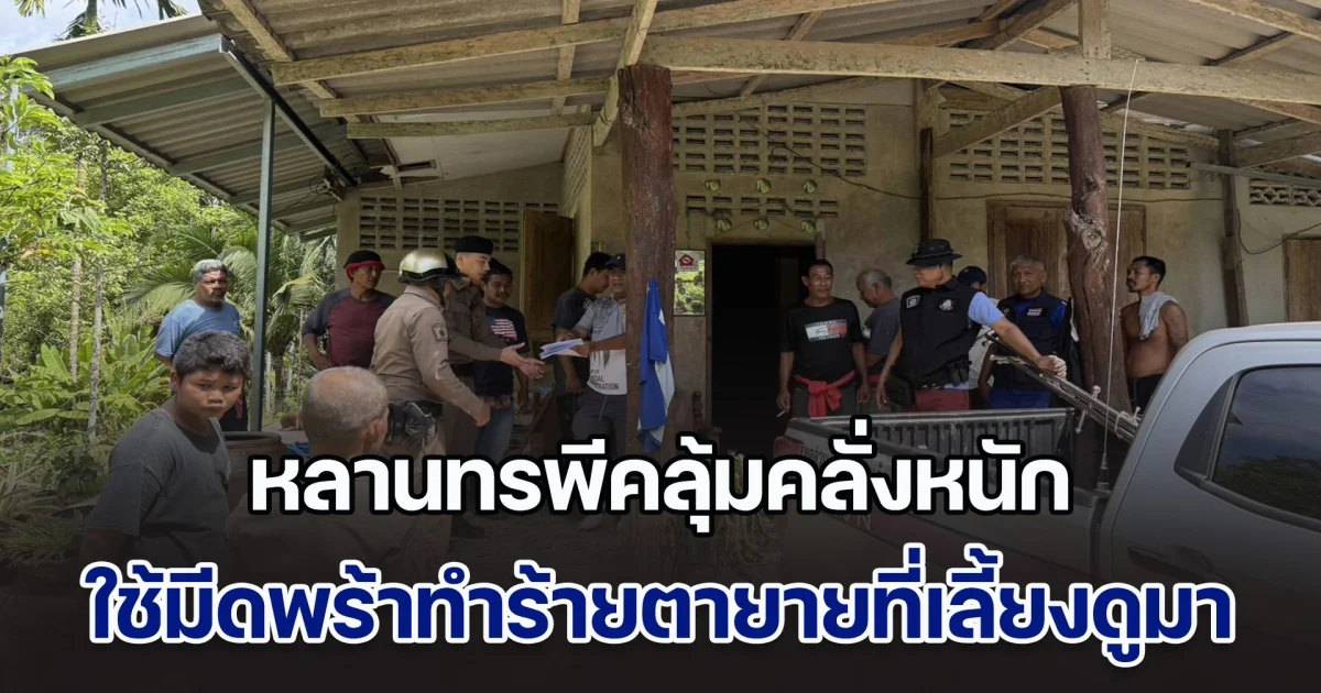 หลานทรพีคลุ้มคลั่งหนัก ใช้มีดพร้าทำร้ายตายายที่เลี้ยงมาตั้งแต่เด็ก ชาวบ้านเห็นแล้วสุดจะทน