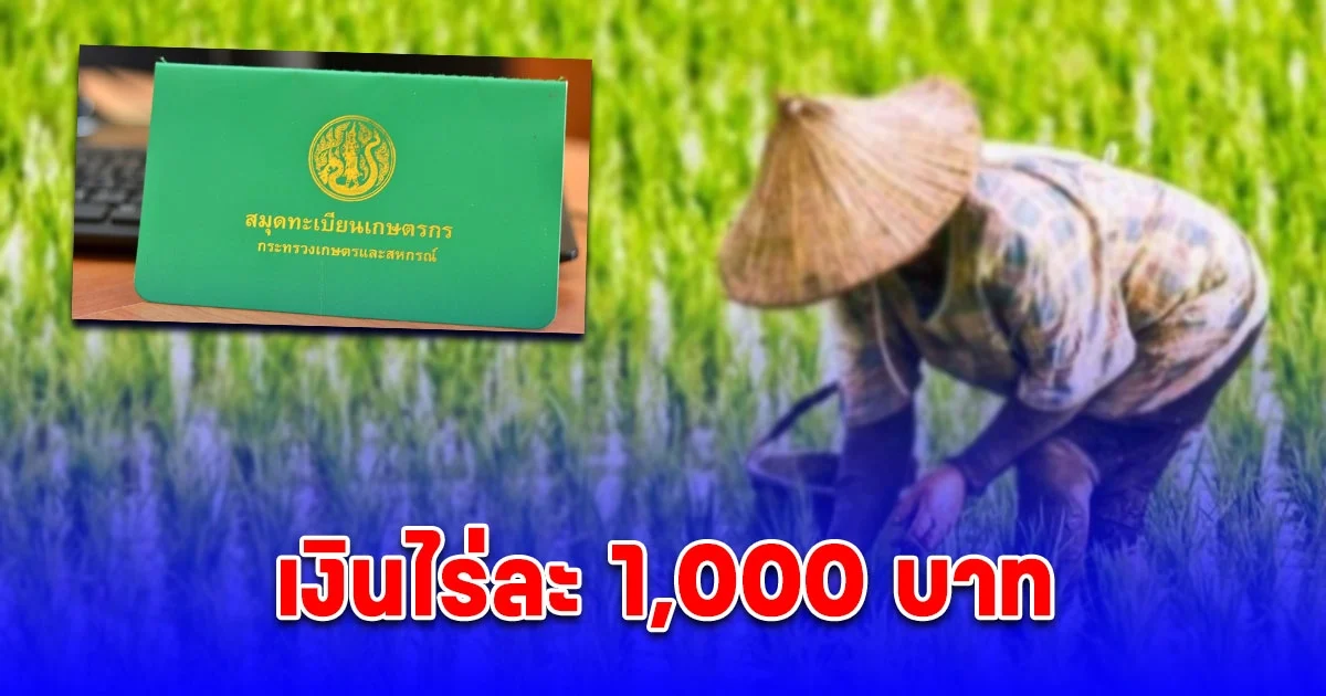 พลาดแล้วจะเสียใจ เงินไร่ละ 1,000 บาท ลงทะเบียนก่อนรับสิทธิก่อน 30 เม.ย. 68