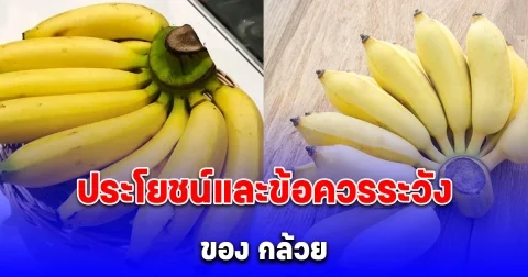 ประโยชน์และข้อควรระวังในการกิน กล้วย