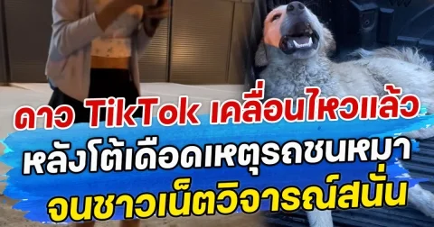 ดาว TikTok เคลื่อนไหวแล้ว หลังโต้เดือดเหตุรถชนหมา จนชาวเน็ตวิจารณ์สนั่น