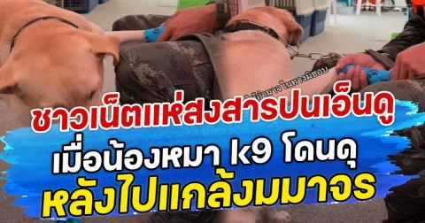 ชาวเน็ตแห่สงสารปนเอ็นดู เมื่อน้องหมา k9 โดนดุ หลังไปแกล้งมมาจร