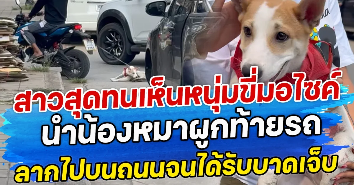 สาวสุดทนเห็นหนุ่มขี่มอไซค์ นำน้องหมาผูกท้ายรถ ลากไปบนถนนจนได้รับบาดเจ็บ