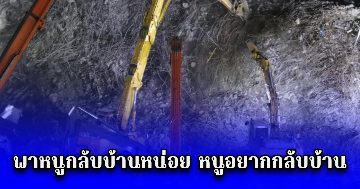 กู้ภัยเจอดี ค้นหาผู้สูญหายในตึกถล่ม ได้ยินเสียงปริศนา พาหนูกลับบ้านหน่อย หนูอยากกลับบ้าน