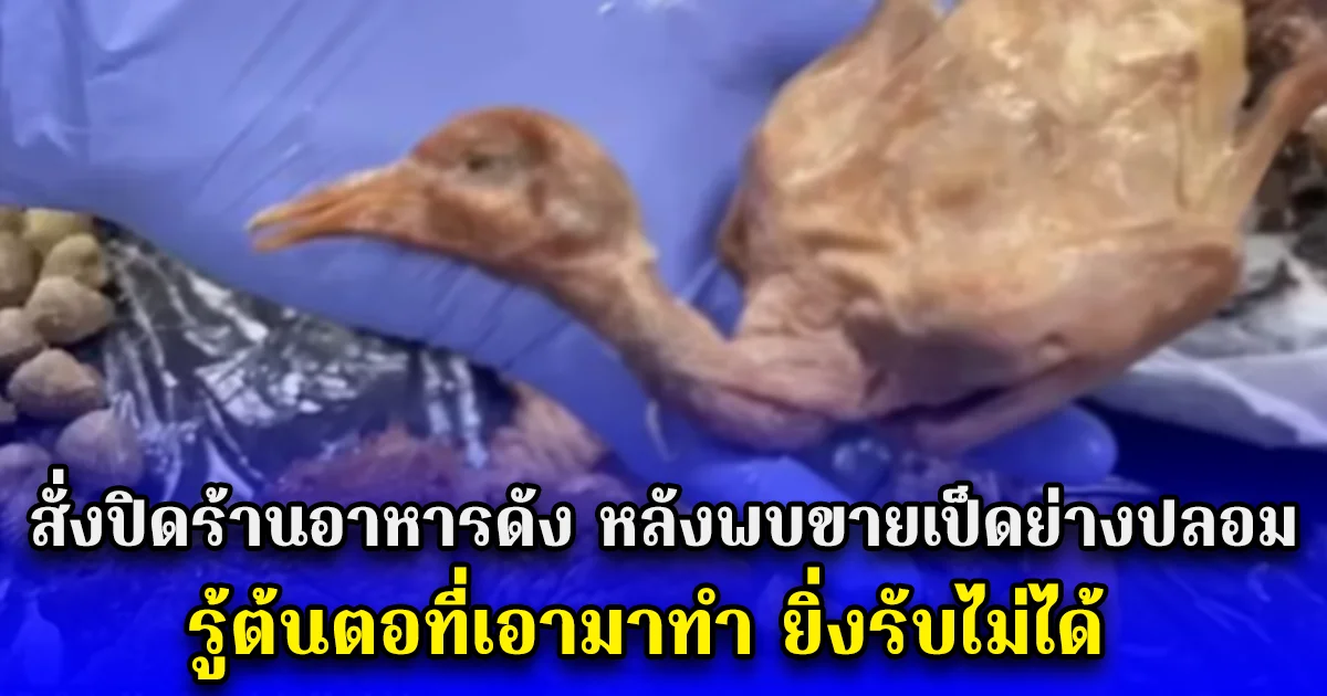 สั่งปิดร้านอาหารดัง หลังพบขายเป็ดย่างปลอม รู้ต้นตอที่เอามาทำ ยิ่งรับไม่ได้ (ตปท.)