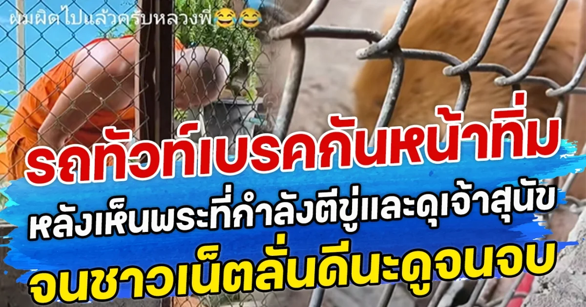 รถทัวท์เบรคกันหน้าทิ่ม หลังเห็นพระที่กำลังตีขู่และดุเจ้าสุนัข จนชาวเน็ตลั่นดีนะดูจนจบ