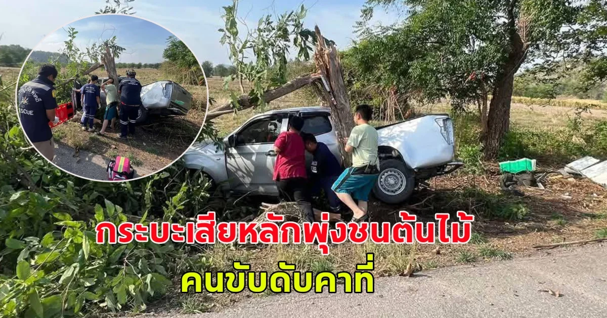 กระบะเสียหลักพุ่งชนต้นไม้ คนขับดับคาที่