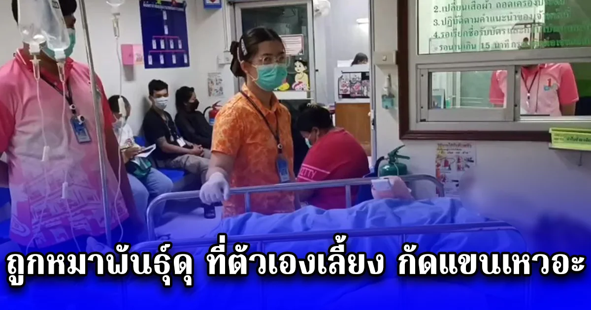 สาวเคราะห์ร้าย ถูกหมาพันธุ์ดุ ที่ตัวเองเลี้ยง กัดแขนเหวอะ อาการสาหัส