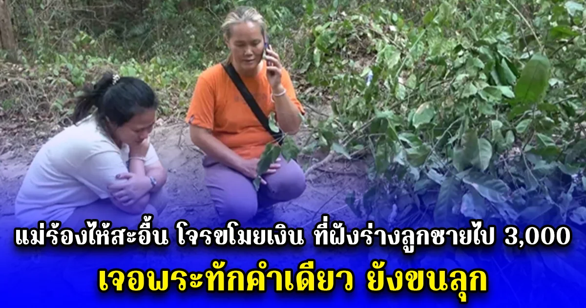 แม่ร้องไห้สะอื้น โจรขโมยเงิน ที่ฝังร่างลูกชายไป 3,000 เจอพระทักคำเดียว ยังขนลุก