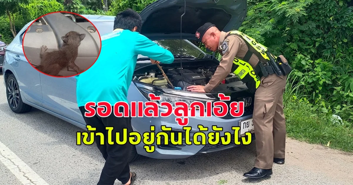 ตำรวจทางหลวง ออกตรวจพื้นที่ เห็นรถยนต์ จอดอยู่ริมทาง ท่าทางผิดสังเกต จึงเข้าไปสอบถามเพื่อให้ความช่วยเหลือ