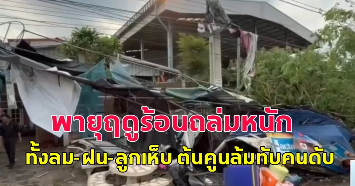 พายุฤดูร้อนถล่มหนัก ทั้งลม-ฝน-ลูกเห็บ ต้นคูนล้มทับคนดับ