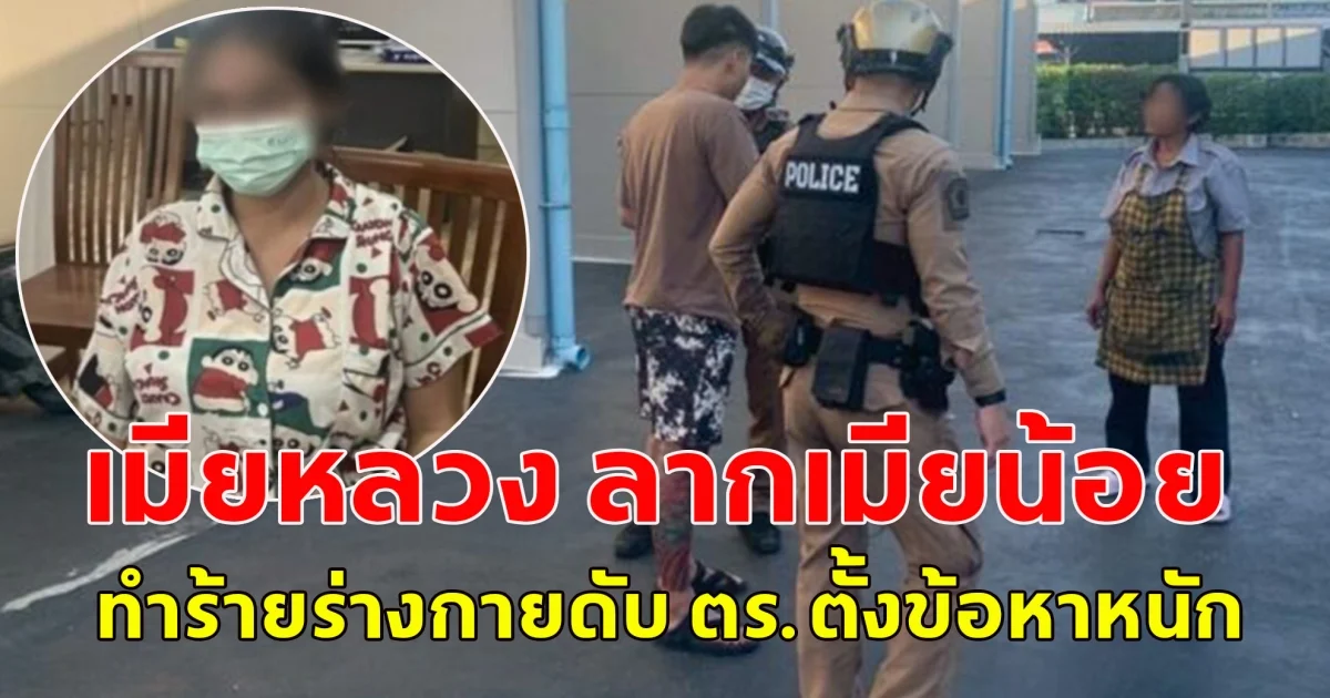 เมียหลวง ลากเมียน้อย ทำร้ายร่างกายดับ ตร.ตั้งข้อหาหนัก