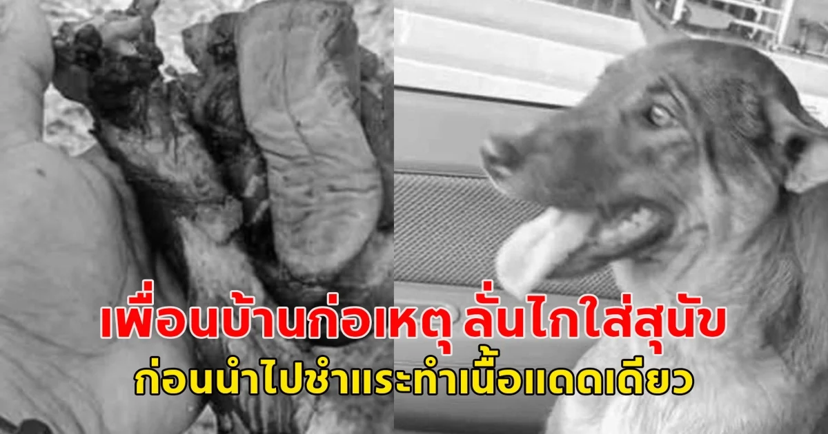 เพื่อนบ้านก่อเหตุ ลั่นไกใส่สุนัข ก่อนนำไปชำแระทำเนื้อแดดเดียว