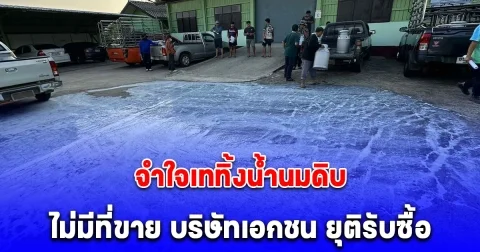 วิกฤตหนัก ชาวโคนมแม่ทา จำใจเททิ้งน้ำนมดิบ ไม่มีที่ขาย บริษัทเอกชน ยุติรับซื้อ