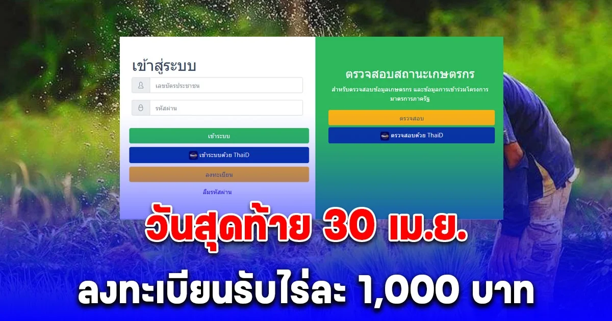 ลงทะเบียนรับไร่ละ 1,000 บาท วันสุดท้าย 30 เม.ย.นี้